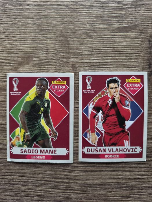 Panini WC22.     .