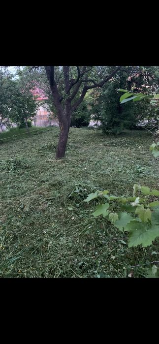 Teren 1264 mp- Zona A, Centru • Dubla deschidere - Vedere 4