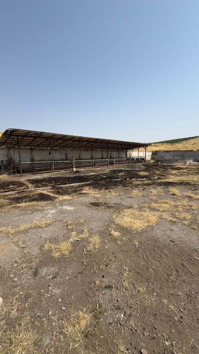 The factory space of 62,000 square meter with refrigerator for 500 ton