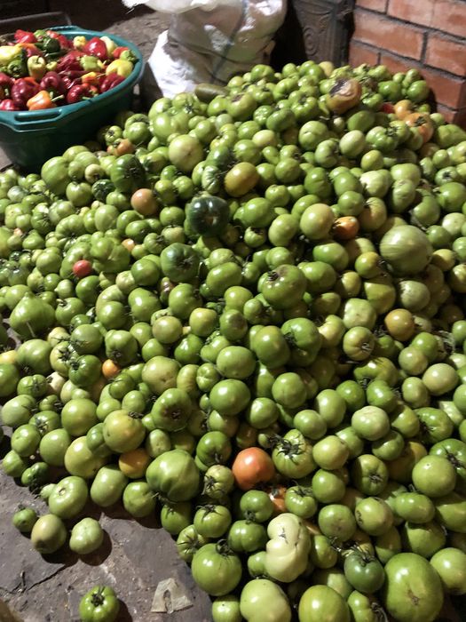 Vand Gogonele la kilogram