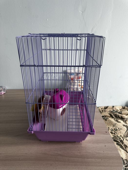 хомяк джунгарский с клеткой