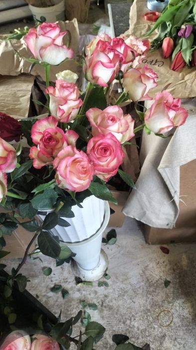 Розы на продажу крупные