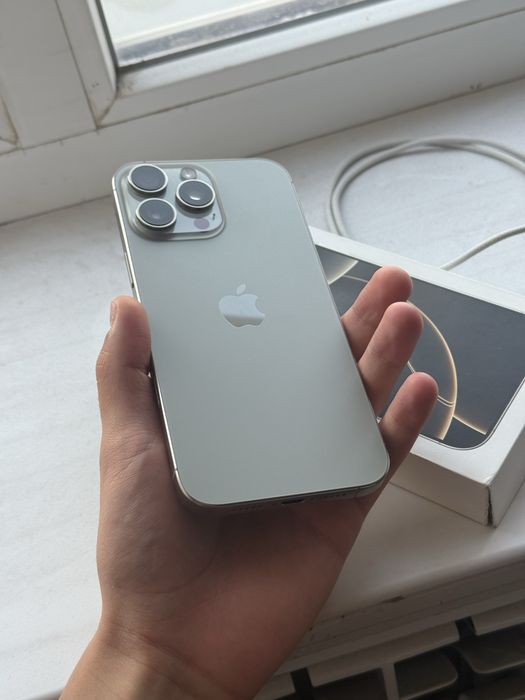 iPhone 16 Pro Max 256 GB