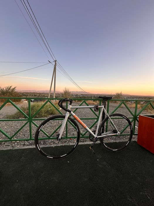 fixed gear ardently arena lite