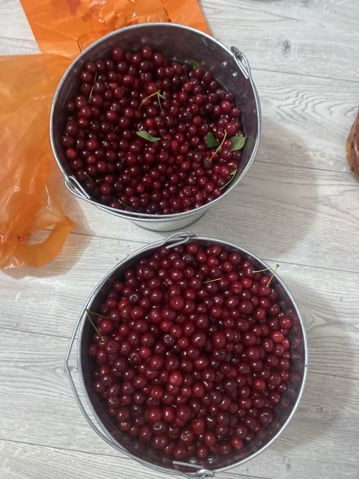 есть вишня продаем по хорошей цене