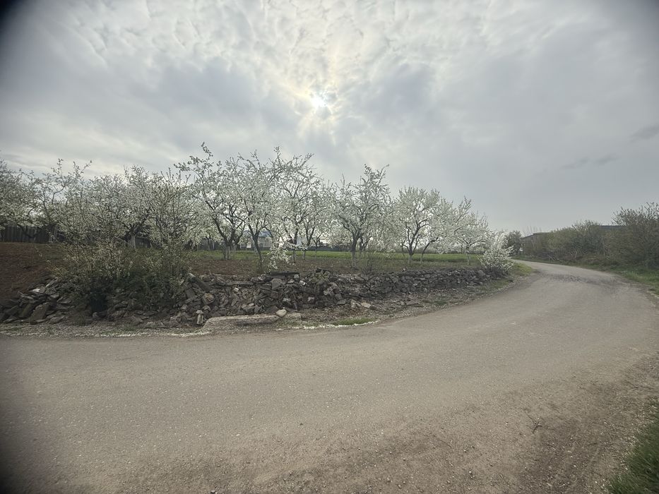 Teren de vanzare- Movila Dambovita