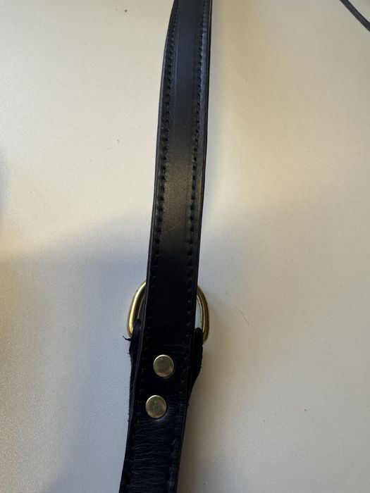 Set Zgardă + Lesă Piele