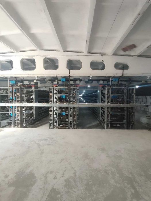 XXX Продаётся птицфабрика Кибрай