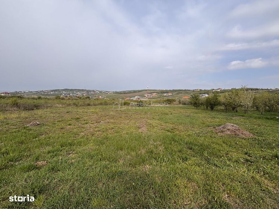 Teren pe colt in Paleu – 800 mp ideali pentru casa ta intr-o zona lini