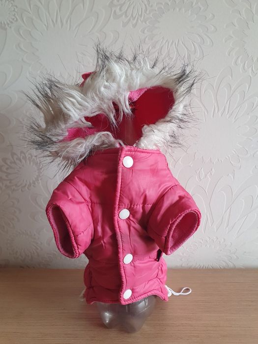 Haine catel talie mica plus hamuri cadou (gratis gratuit) pret per buc