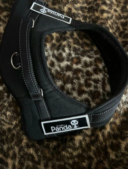 шлейка для собак