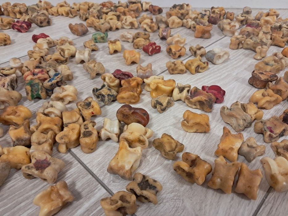 Асыки  бараньи натуральные.