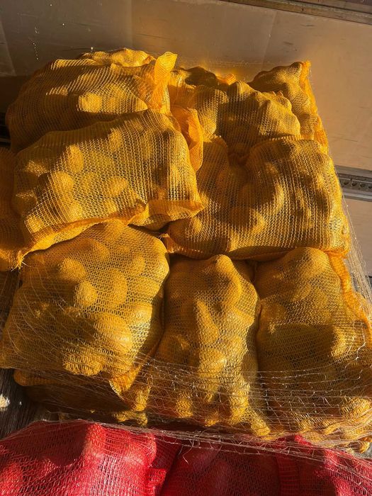 Vindem cartofi albi si roșii EN-GROS