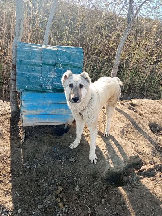 Odamlarga ziyoni tegmaydi