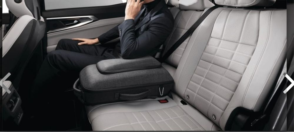 Rucsac si cotiera spate original Renault