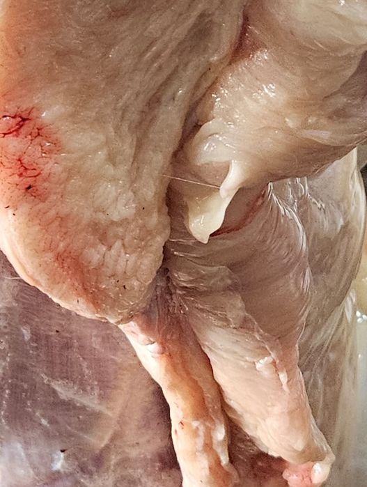 Конина с откорма