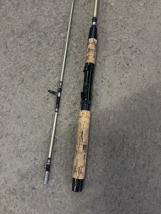 Спиннинг для ловли змееголова, судака