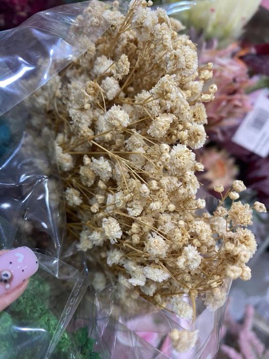 Сух гипсофил връзка