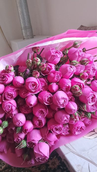 Кустовые розы новый