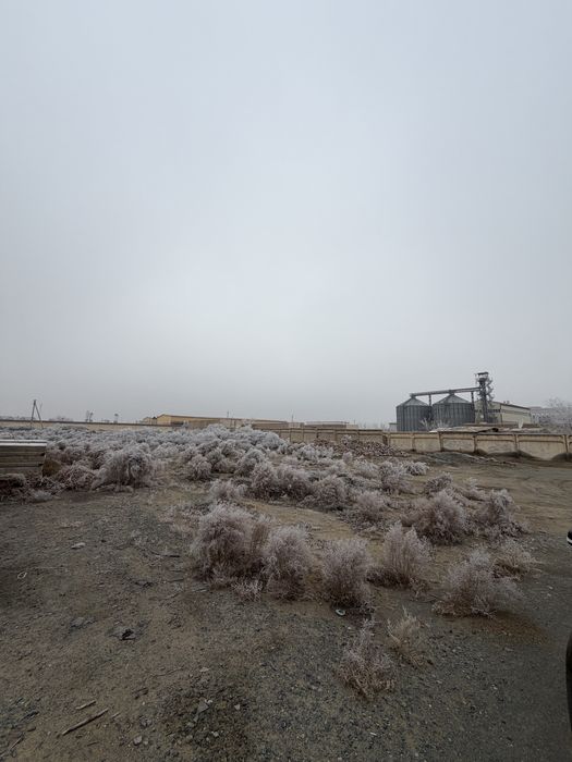 Срочно продается земля. 600 миллионов!