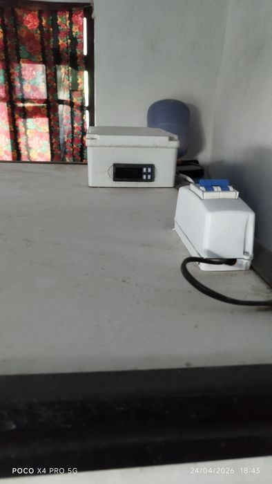 Inkubatsion aparat