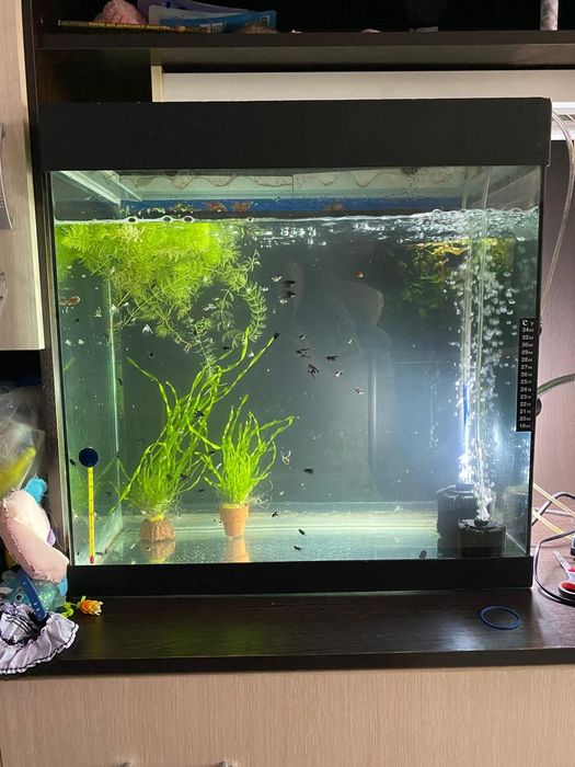 Аквариум 75 литров
