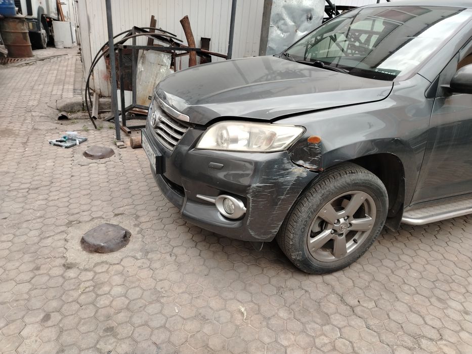 Костоправ моляр, полировка ПДР