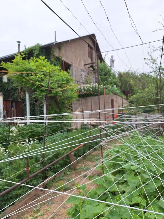 Турарские дачи!Продаю