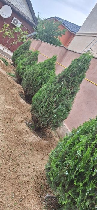 Садовник-озеленитель