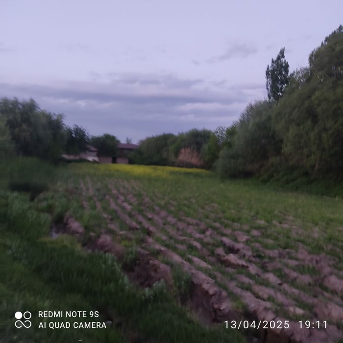 Surxondaryo Denovda yer sotiladi kengash masjidi yonida