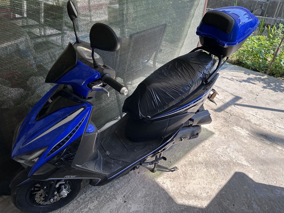 Scuter 50 cm.