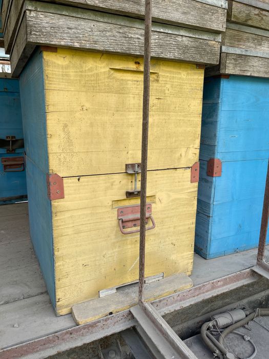 Vând stupi/familii de albine/lazi și colectoare