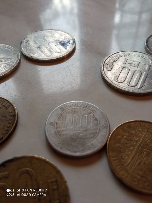 Monezi de vânzare
