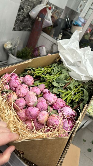 Пионы, розы, гортензии