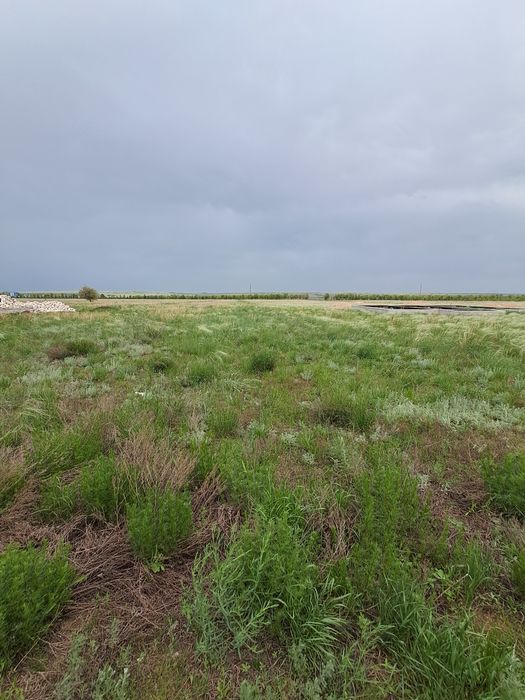 Земельный участок