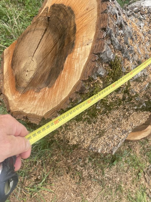 Vand lemn de nuc -trunchi