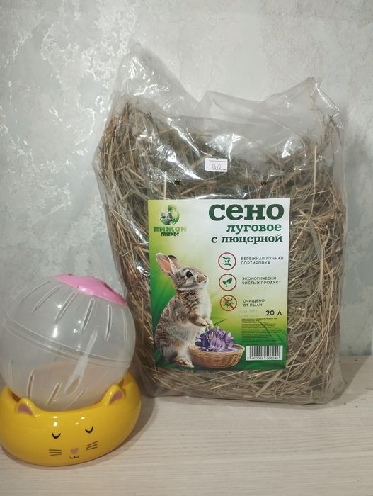 сирийский хомяк!!