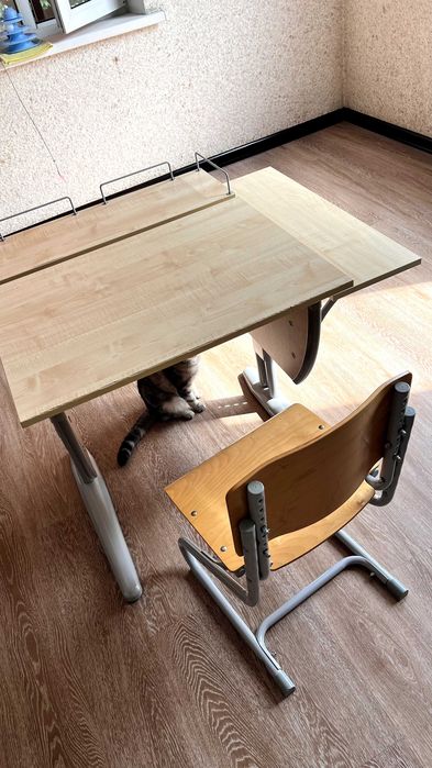 Растущая учебная парта + растущий стул