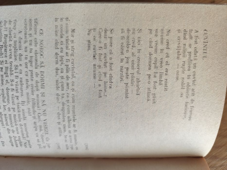 Filozofia poeziei- Nichita Stănescu
