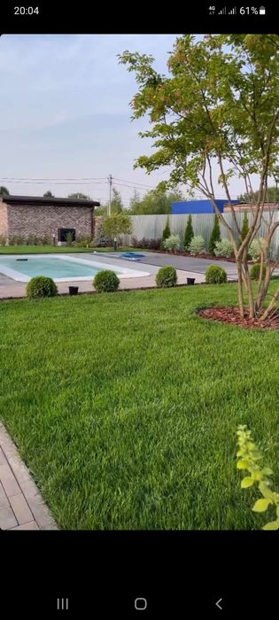 Газон рулонные и посевной из первых рук