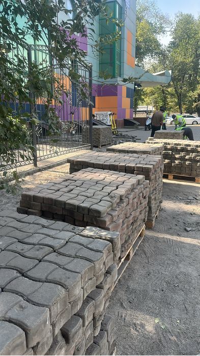 Бурчатка буртчатка
