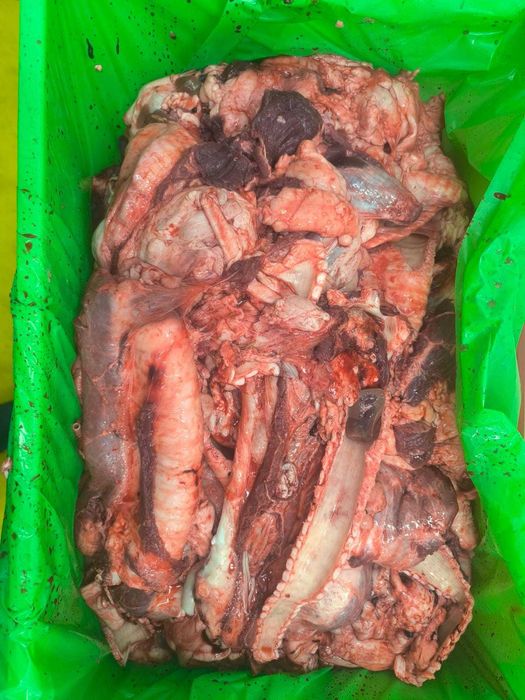 Трахея говяжья калтыки корм для животных