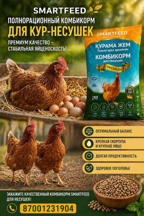 комбикорм для кур несушек Smartfeed