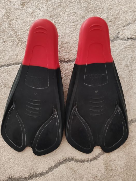 Labe inot Speedo Biofuse