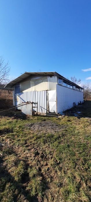 Hala structura metalica cu panouri sandwich geam termopan