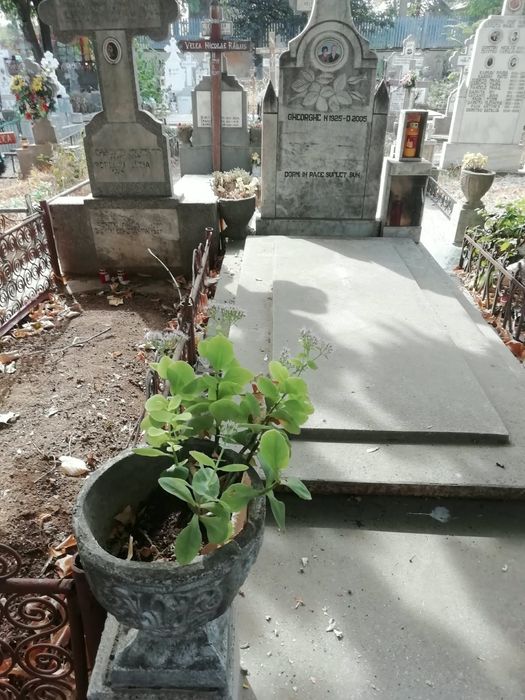 Loc de veci cu 3 cripte in cimitirul Buna Vestire din Berceni pe aleea principala