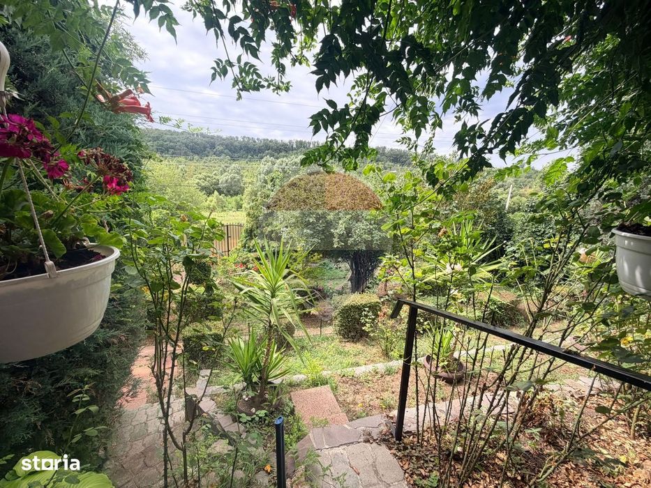 Leamna de sus, casa cu piscina, 2000mp