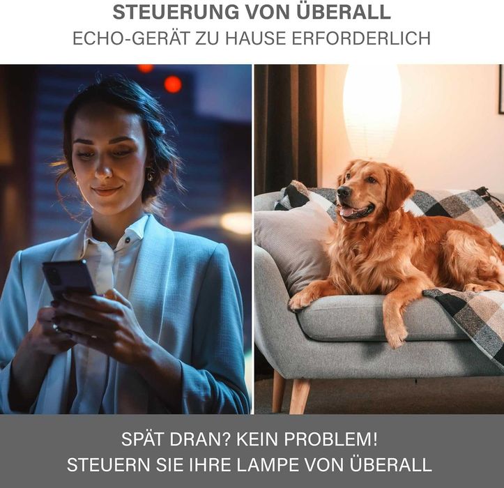 Smart контакт Sengled Matter работи с Alexa, , поддържа до 2300 W