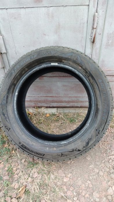 Продаю зимние шипованные шины