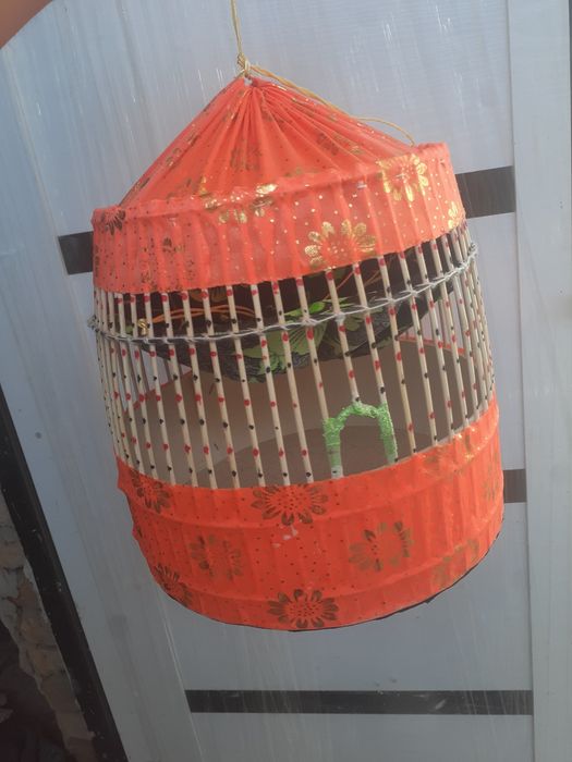 Bedona kanareka sayroqisi